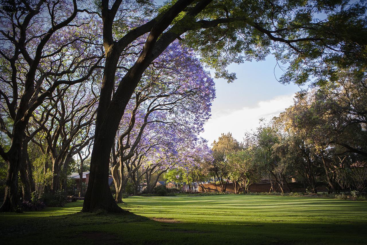 Pierneef'S Kraal Hotel Pretoria Exterior photo